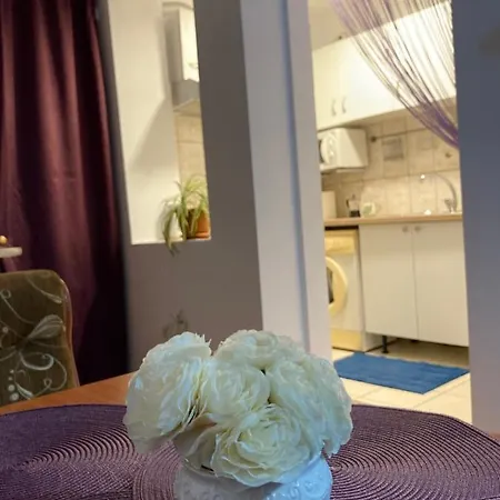 Royal National Arena - Free Parking Apartament *