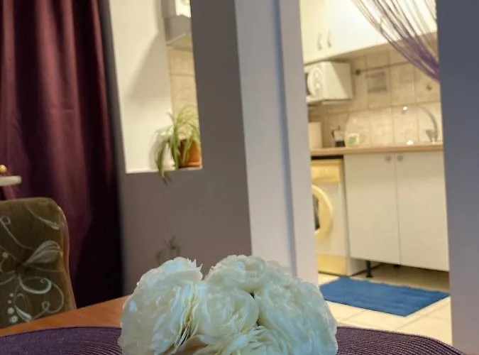 Royal National Arena - Free Parking Apartmán *